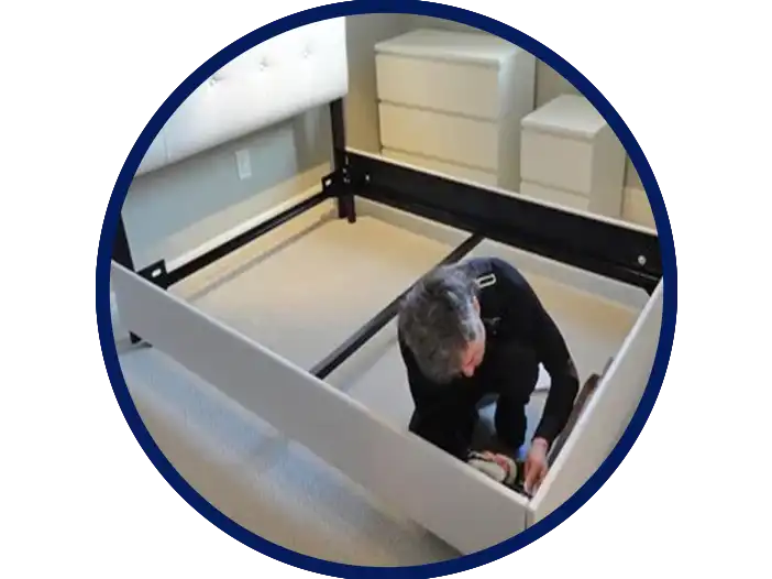 Sofa Cum bed Woods Royal