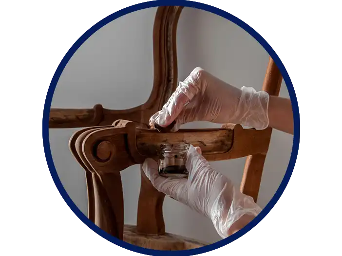 Bunk Bed -Woods Rpyal